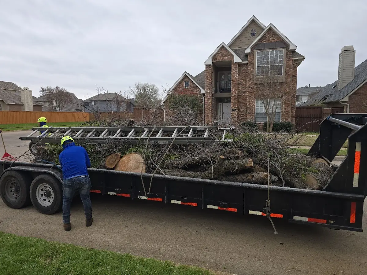 Expert Crown Reduction with proper safety equipment in Garland